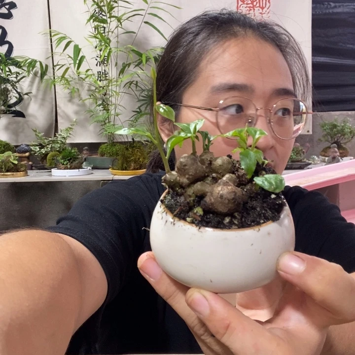 无花朵一物一拍177