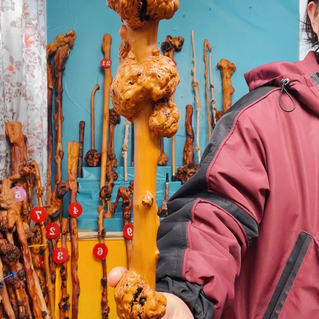 踏***景香榧木木木木木木木