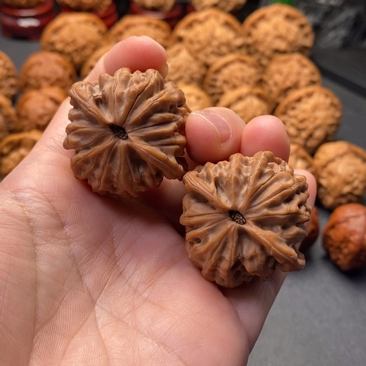 文玩核桃把件37尺龙胆狮子头