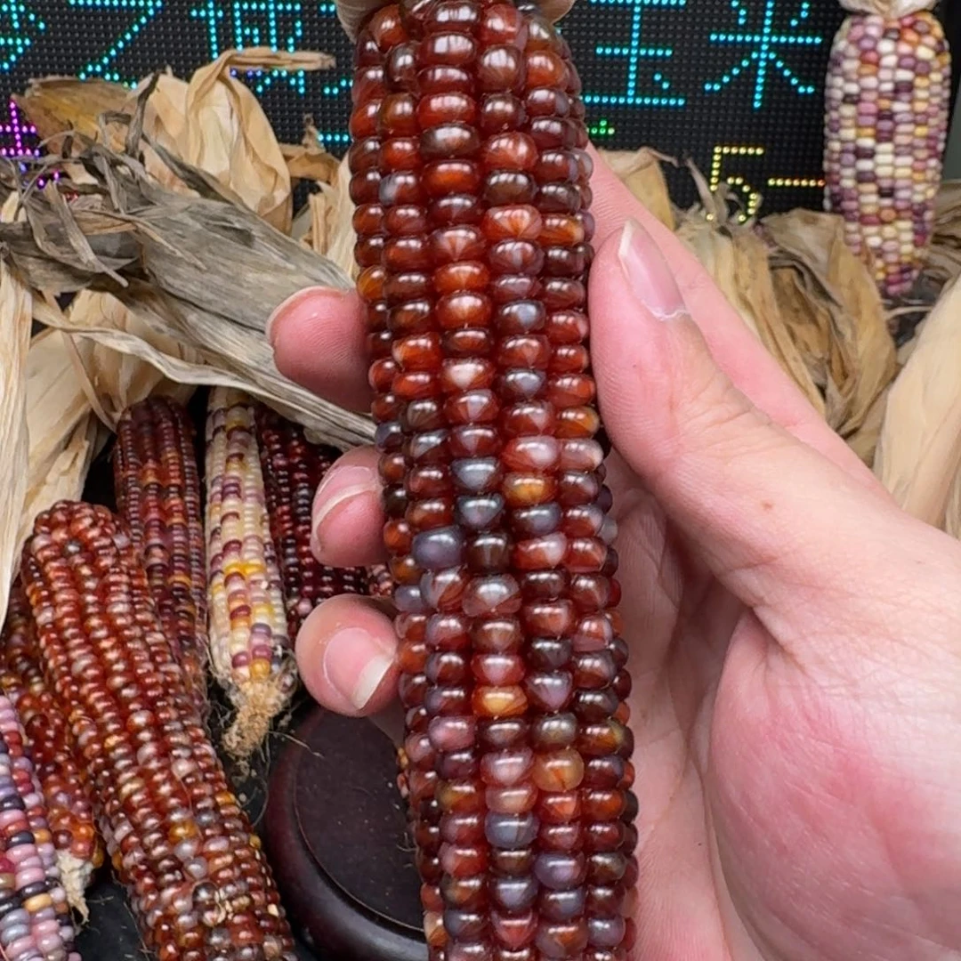 柏香籽/百香籽吊坠?***