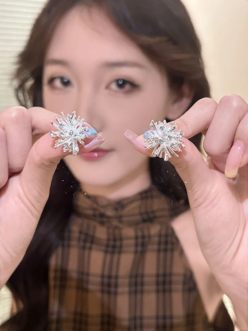 铜合金锆石耳饰 轻奢高级感烟花耳环百搭新款爆款小众设计感耳饰