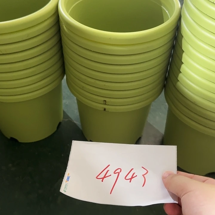 编号是4943的编号