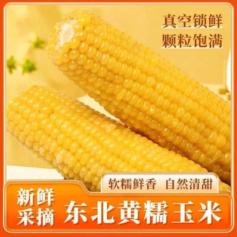 【试吃3支】东北黑土地种植黄糯玉米透明包装整箱12支d