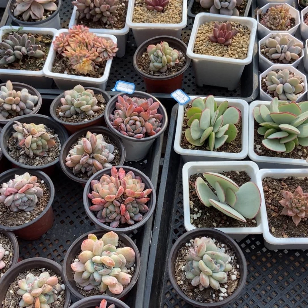 保温箱，低于零度去拍