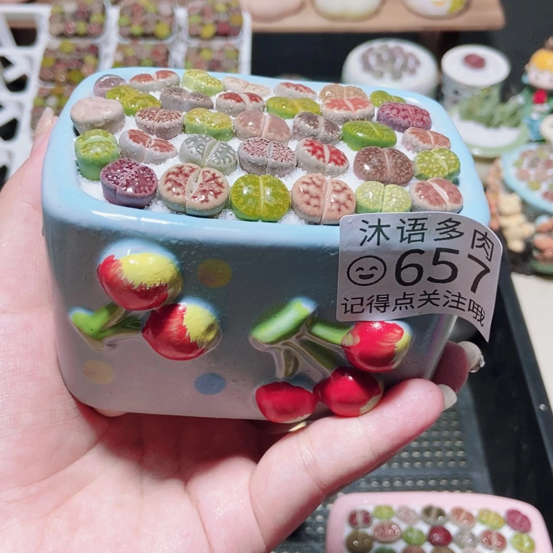 一物一拍 所见即所得657