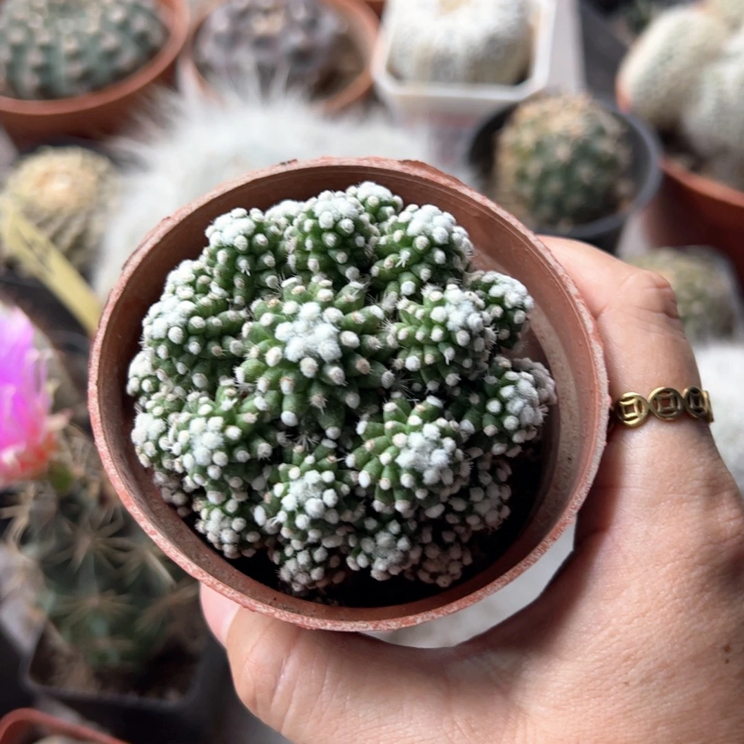 涵***一物一拍更新大家的支持。