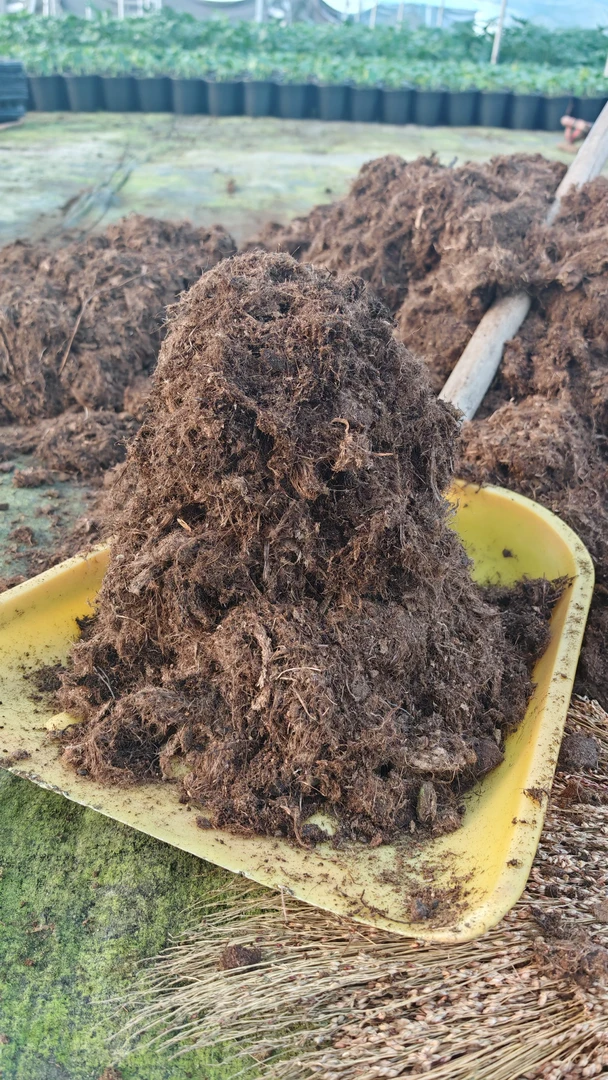 花卉基地专用进口泥炭土约20升特粗透气性好养根护根龟背竹