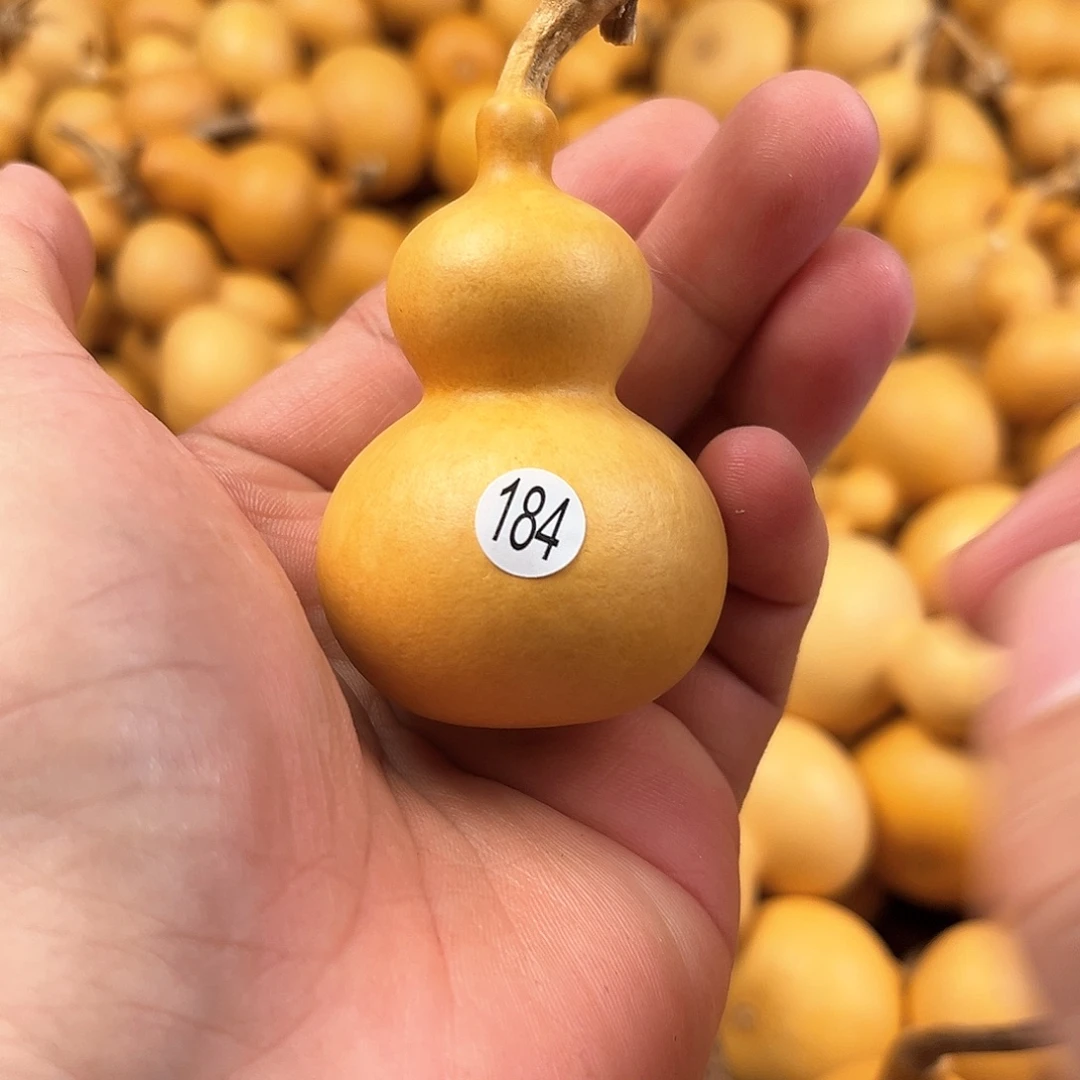 五葫芦葫芦葫芦葫芦184