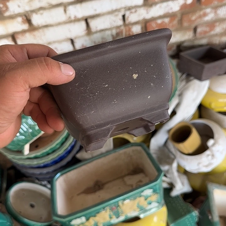 一哈来我这儿吃饭啊亲