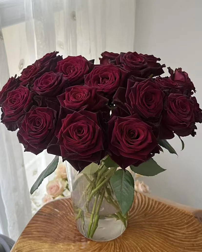 【黑巴克玫瑰】【叁叁专属】玫瑰 云南基地鲜花批发一单包邮