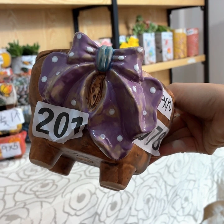 多肉花盆满15包邮