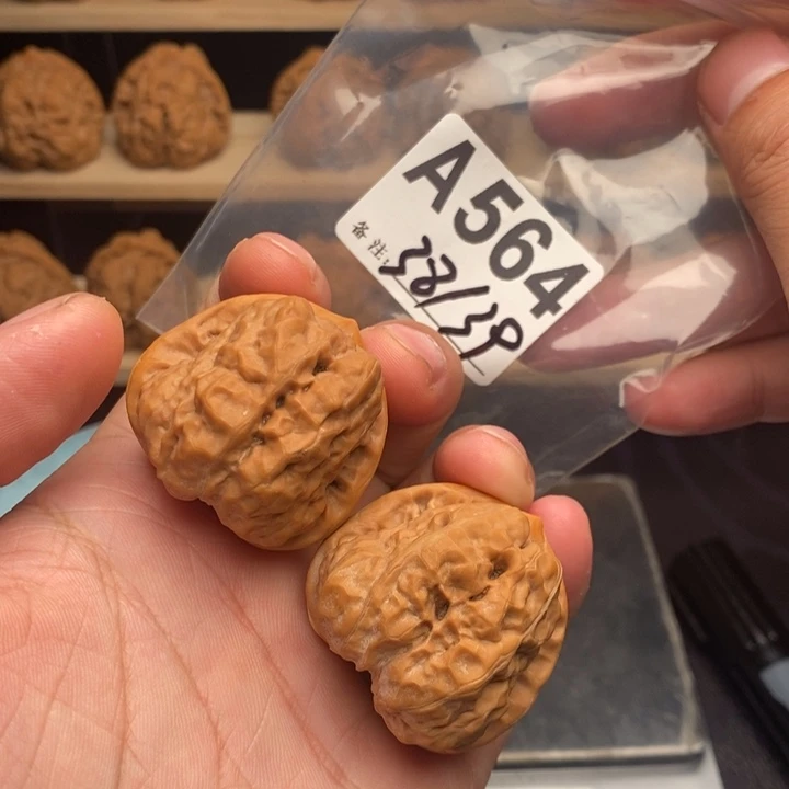 核桃A564号蛤蟆头38尺毕业