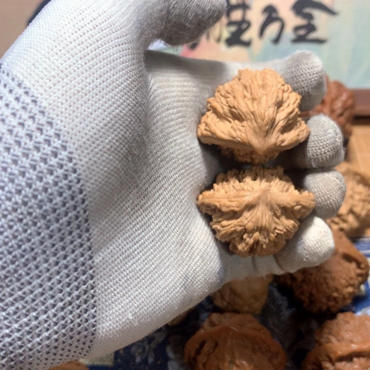 马***阳哈哈哈哈哈哈哈哈哈