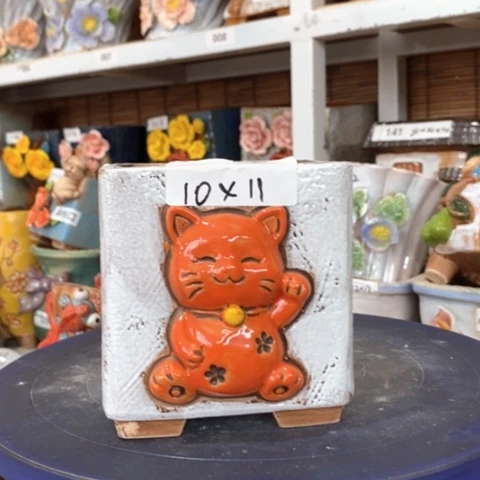 【闪购商品】