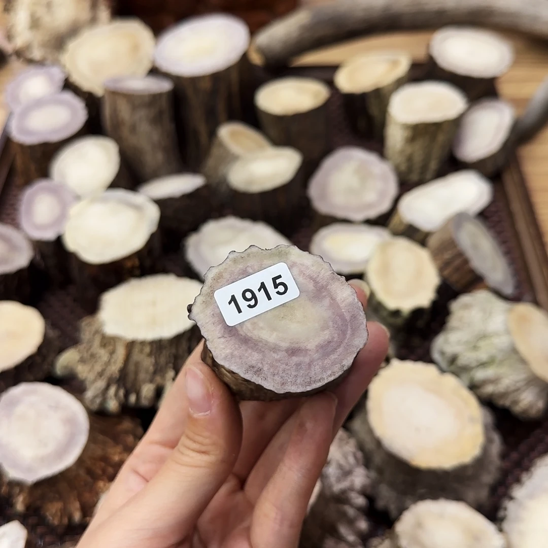 手串/手链鹿骨1915根段