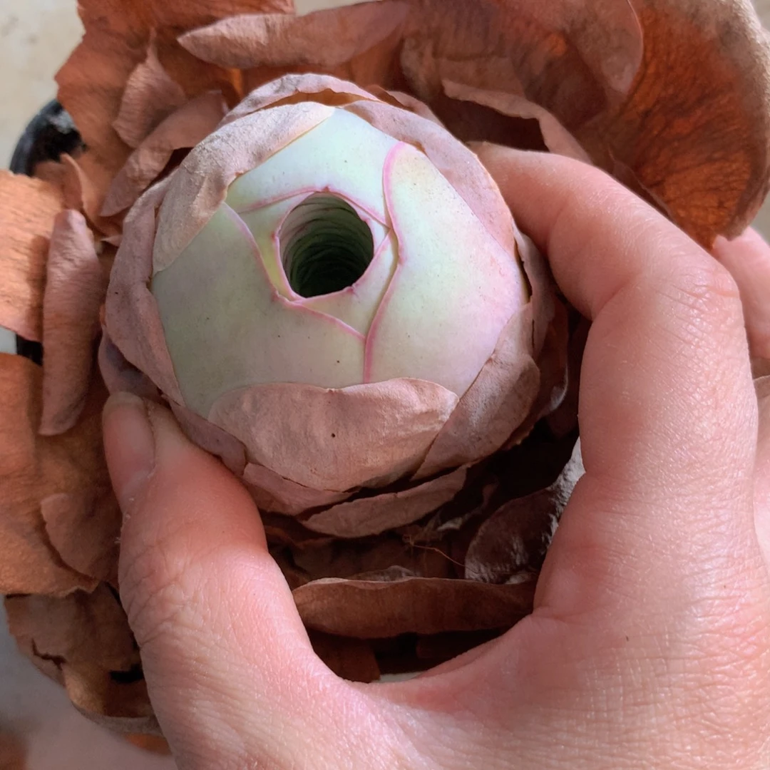 狼***棒一物一拍随单福利899