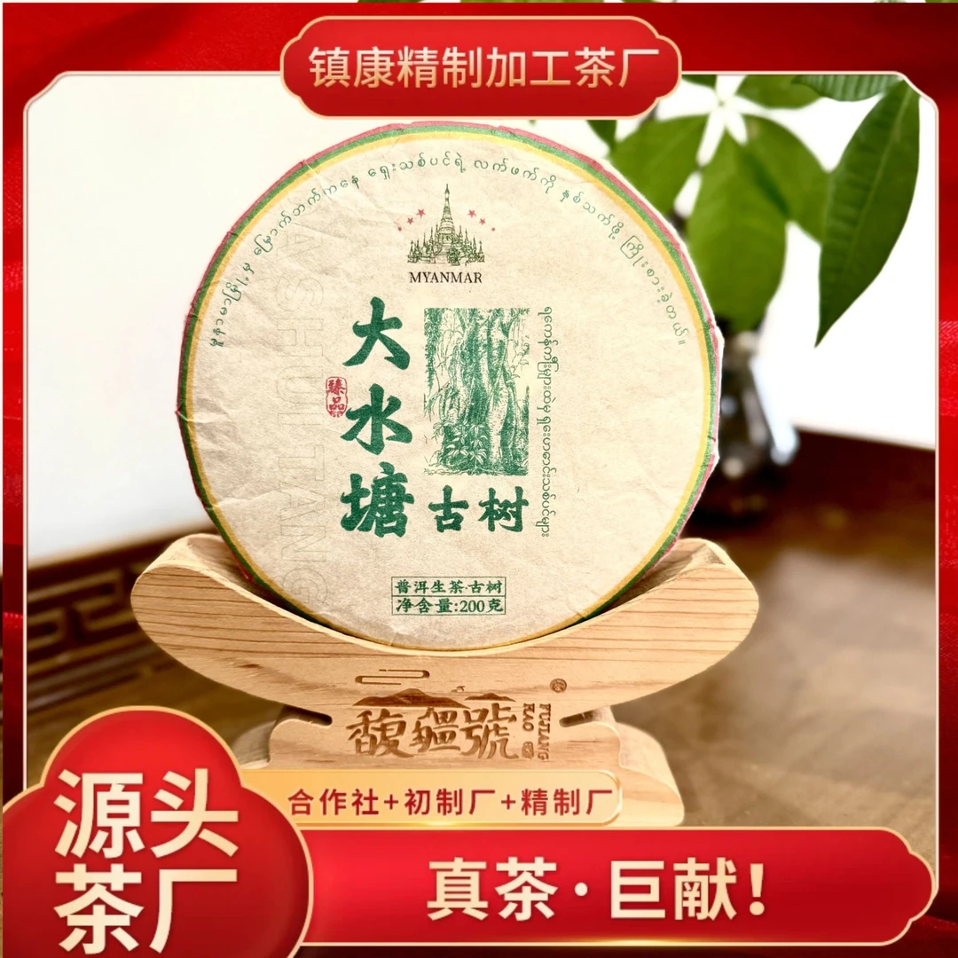 【大水塘古树纯料】2025年头春/高端普洱生茶