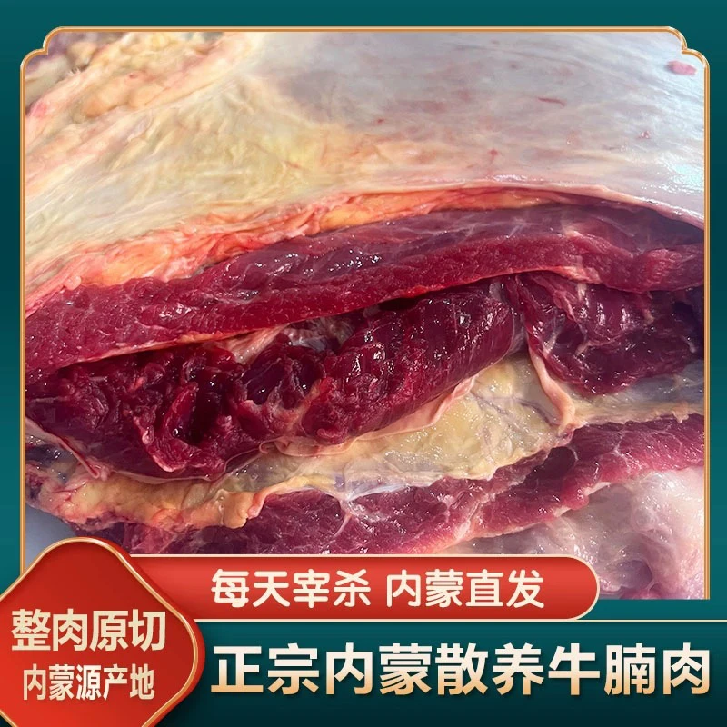 5斤内蒙古黄膘牛腩 顺丰包邮