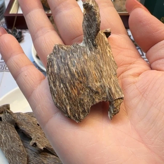 沉香摆件香港树心虫漏4.3克