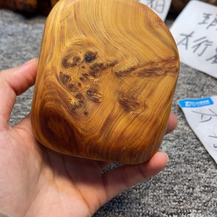 柏木（崖柏）崖柏14