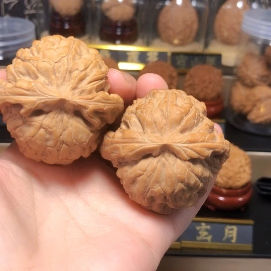 超级福利：龙鼎全品