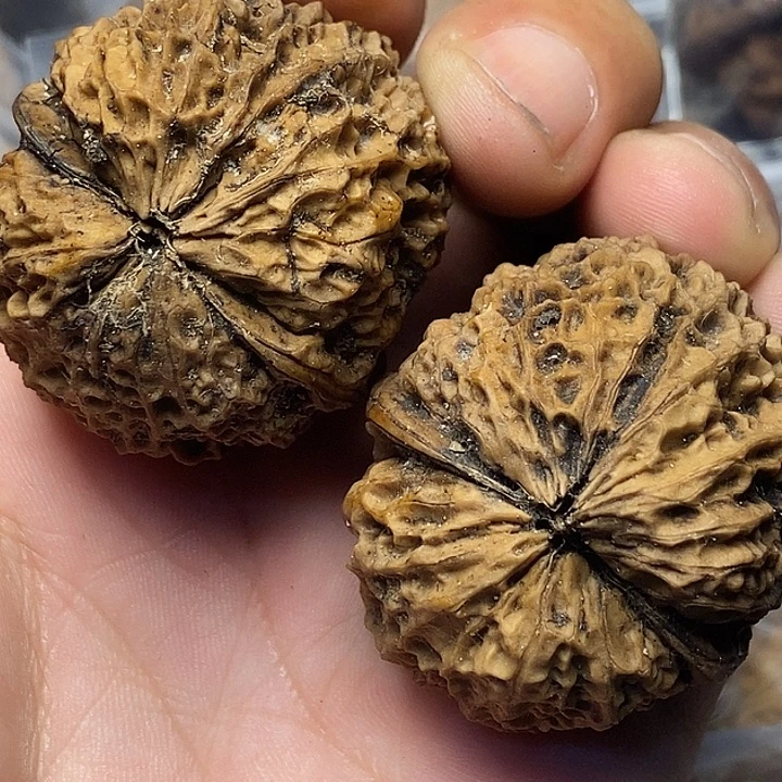 文玩核桃把件云南铁核桃5