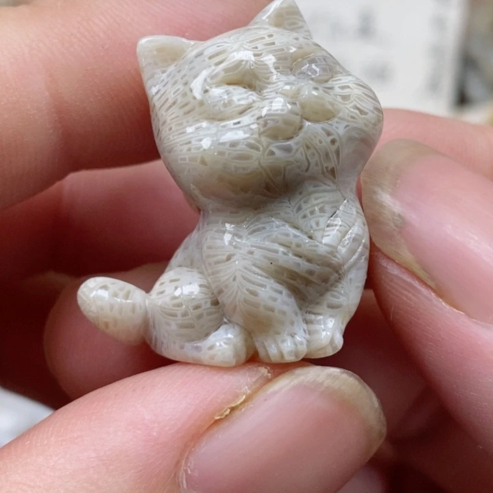 颈饰未镶嵌硅化珊瑚（珊瑚玉）