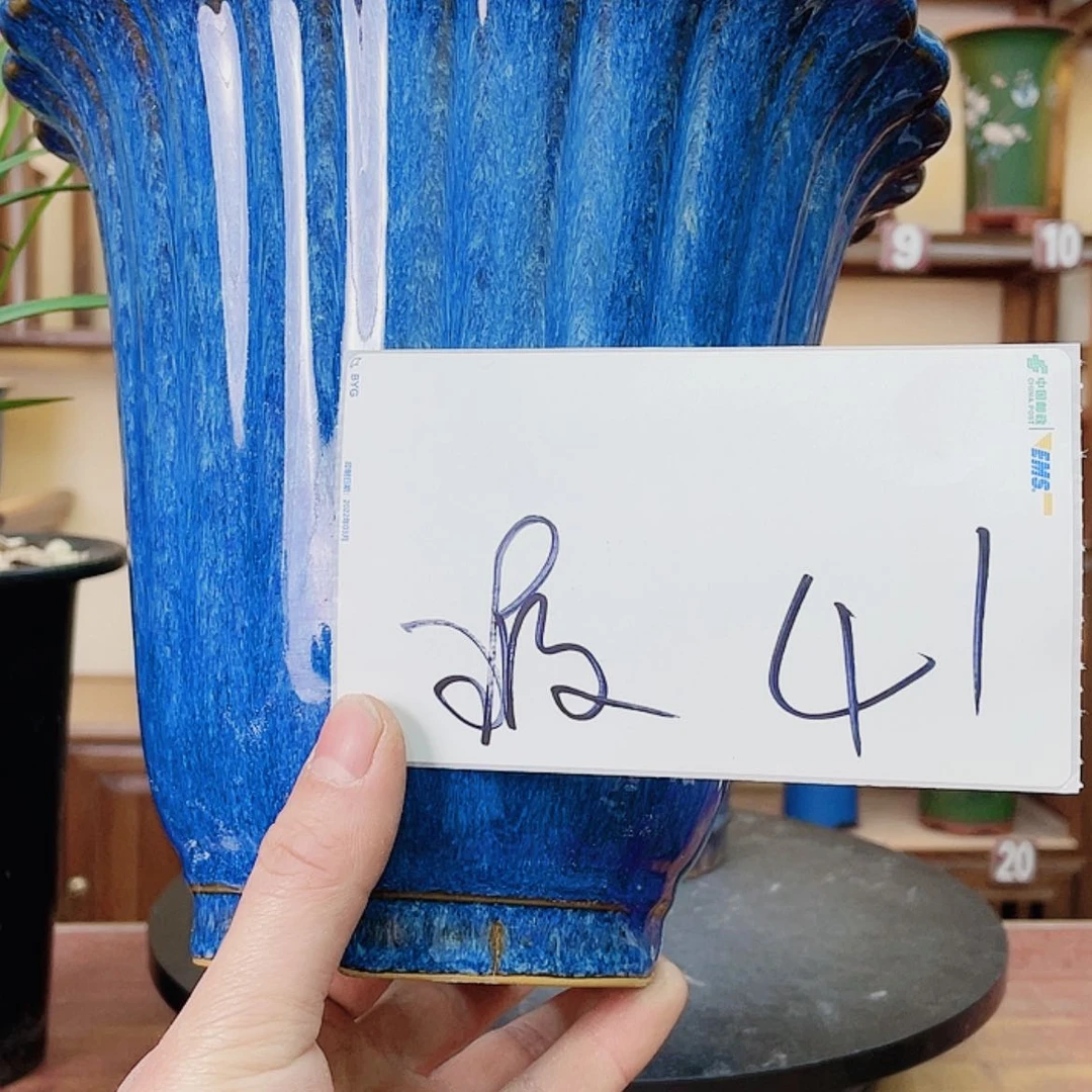 【闪购商品】紫砂花盆用****0兰花756655668888