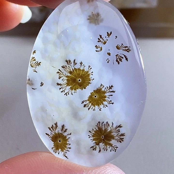 水***社玛瑙/玉髓未镶嵌珠宝奇石