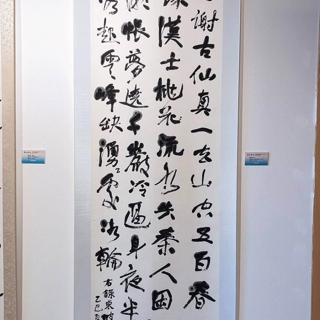 书法半醒斋书法作品