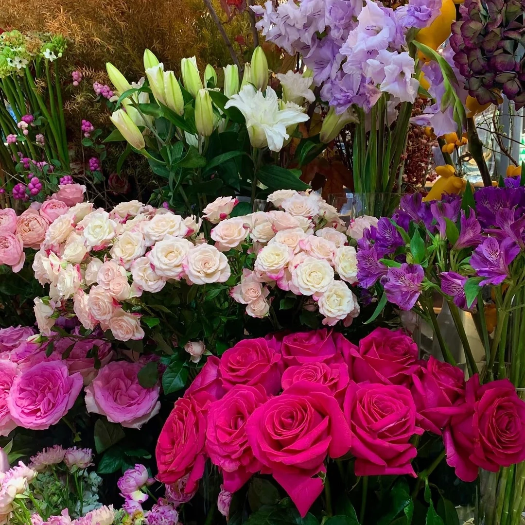 【牛牛鲜花】A16玫瑰套餐云南昆明基地现采现发