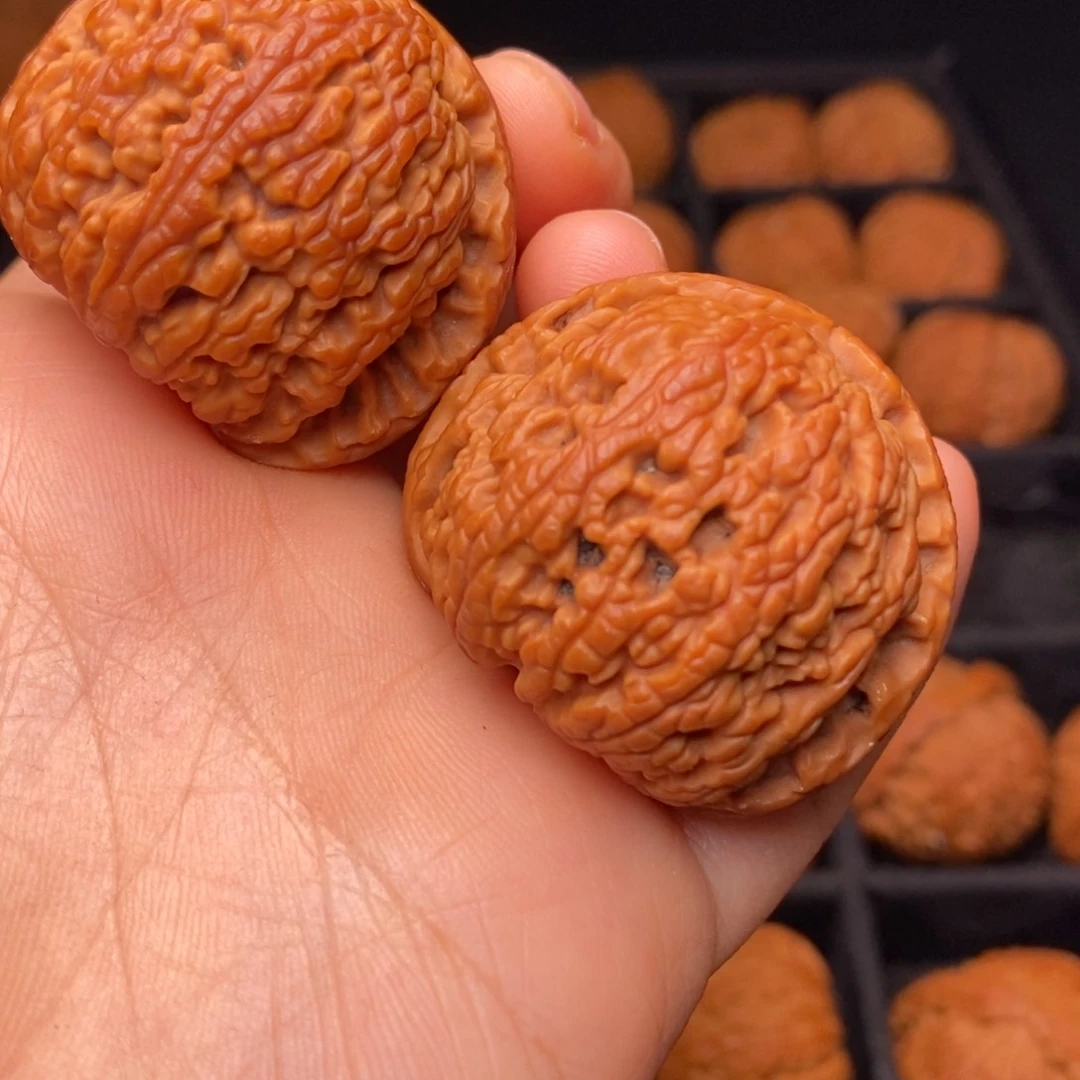 文玩核桃把件秦岭野生核桃