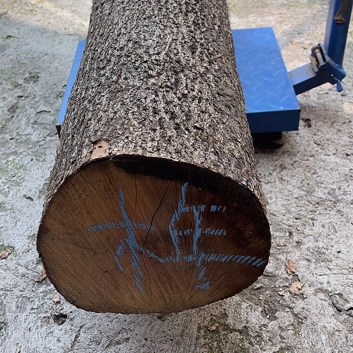 小叶桢楠小叶桢楠原木毛料