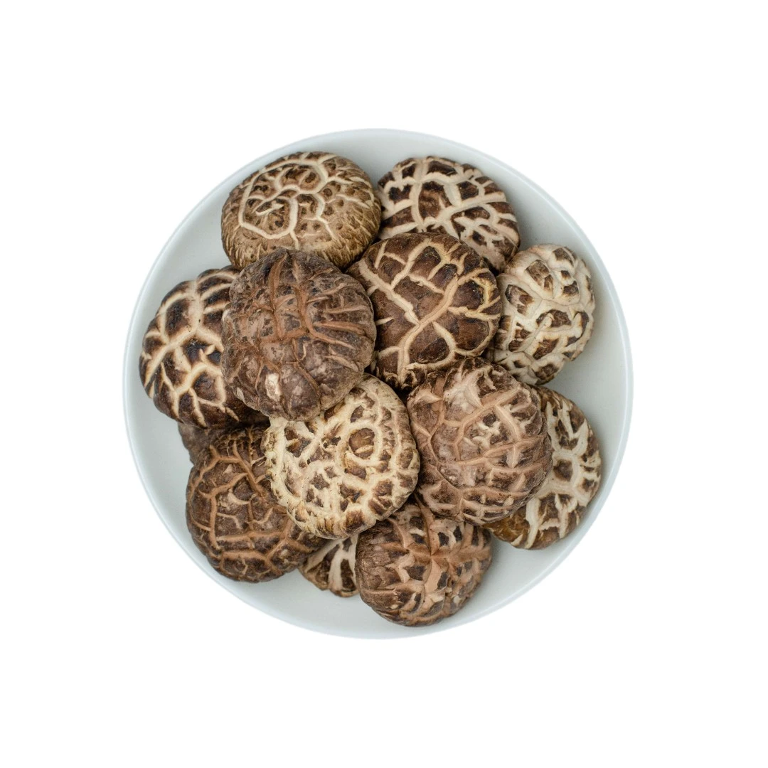 花菇香菇新货肉厚煲汤食材