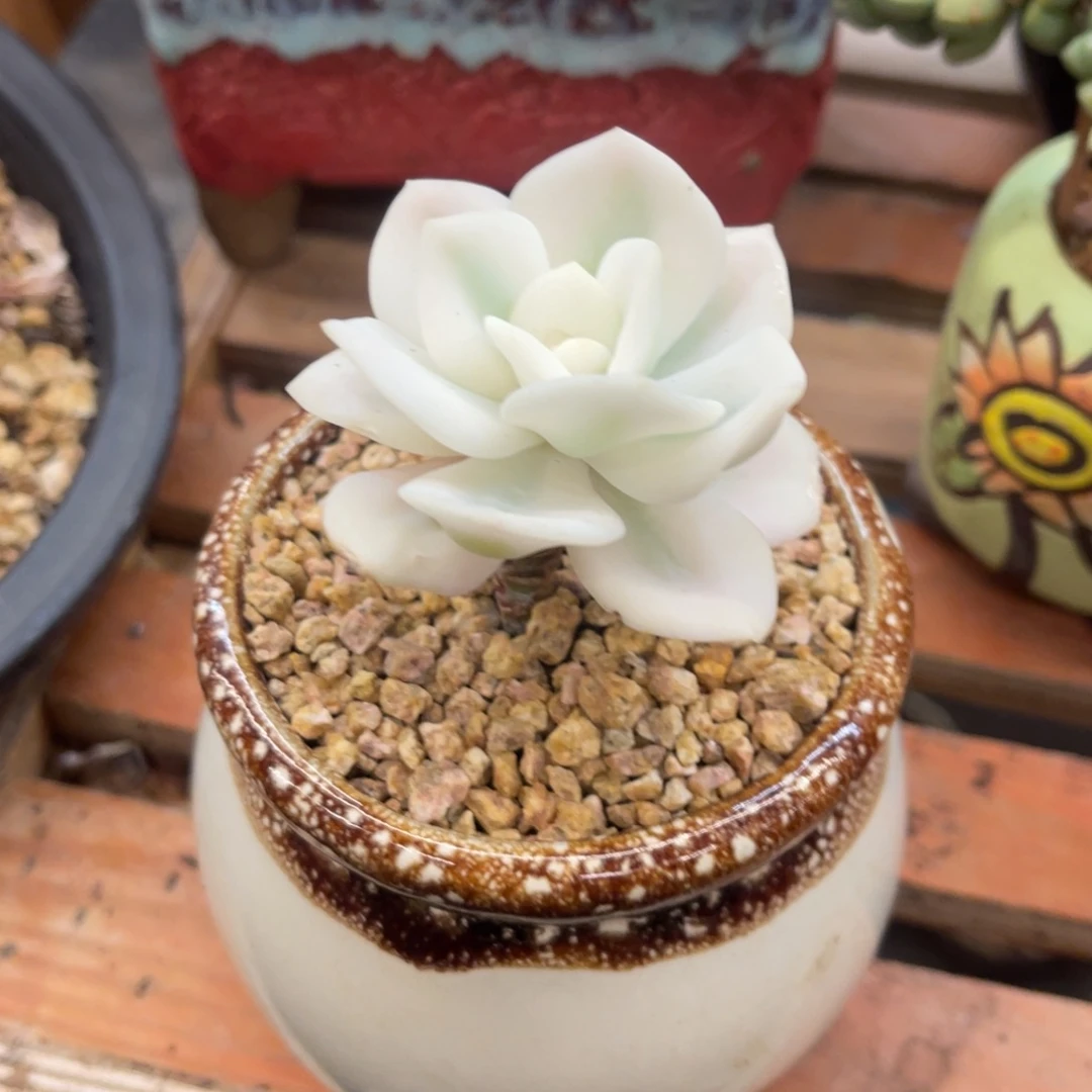 韩***生 3886866868688668868686