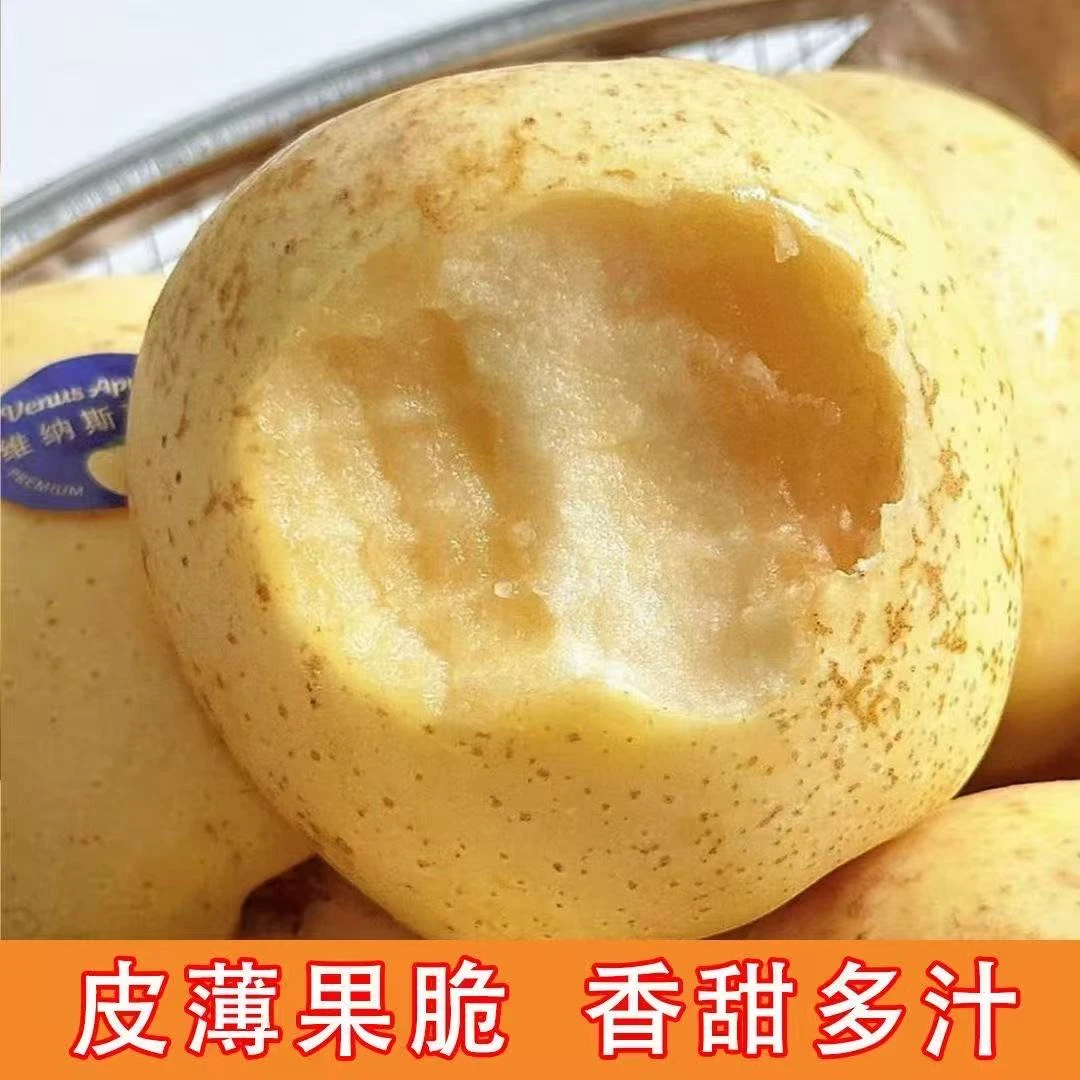 山东黄金维纳斯苹果香甜脆4.5-5斤带果绣