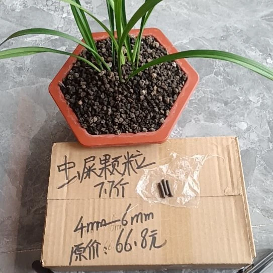 火***山兰菌黑山土虫屎颗粒7.7斤