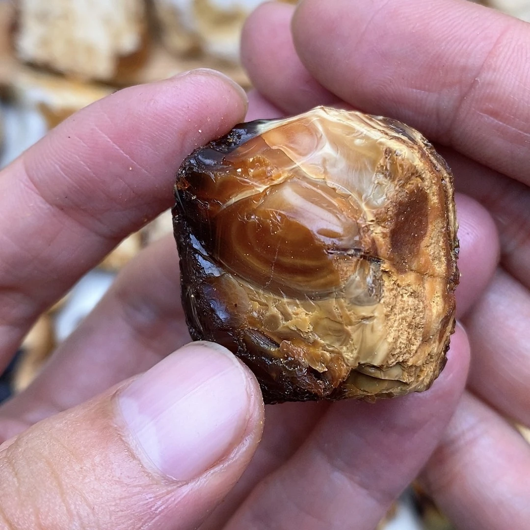 定制蜜蜡未镶嵌裸石