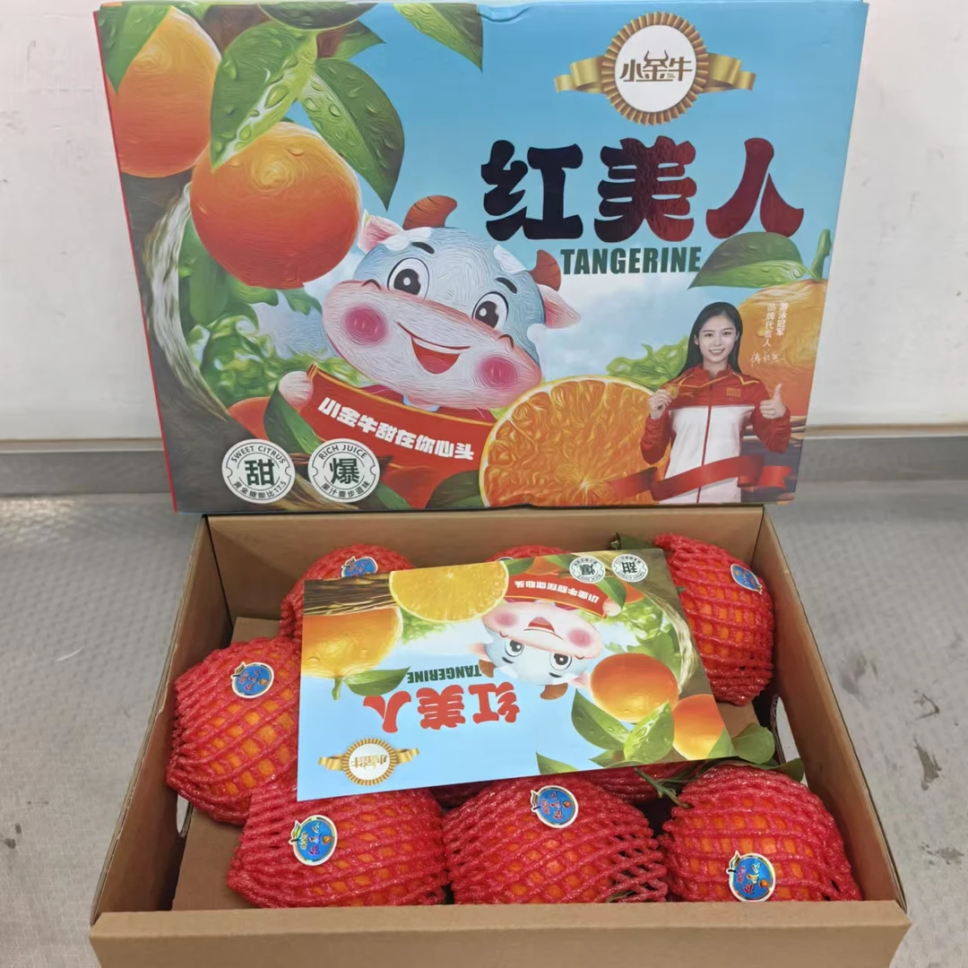 【小金牛红美人果冻橙】 整箱带箱9斤左右限太原六城区榆次购买