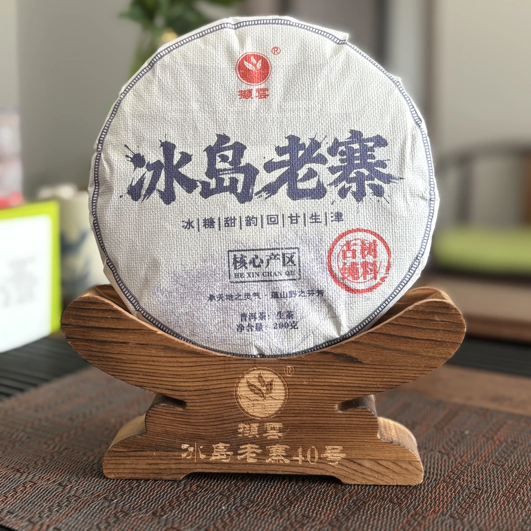 冰岛老寨40号 2025年古树秋茶生茶10月8号