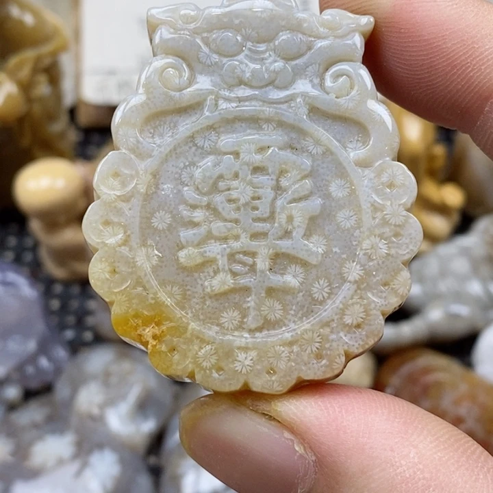颈饰未镶嵌硅化珊瑚（珊瑚玉）