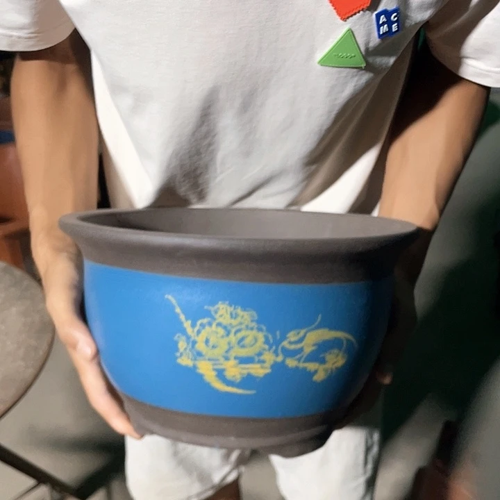 30蓝色牡丹花花盆花盆