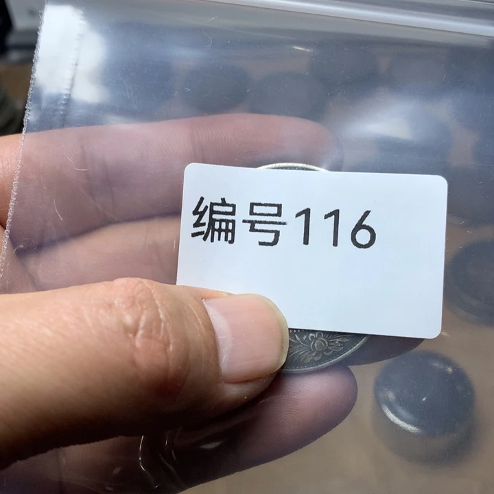 陶直接去拍大头龙洋