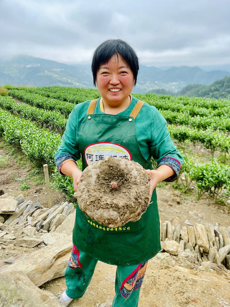 【草碱魔芋】新化高山种植现磨手工新鲜魔芋0脂肪老少皆宜500克一袋