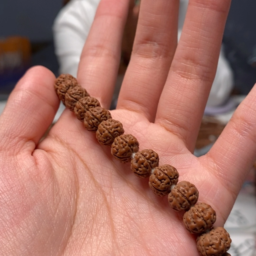 规***。菩提籽类老树王手持卡10