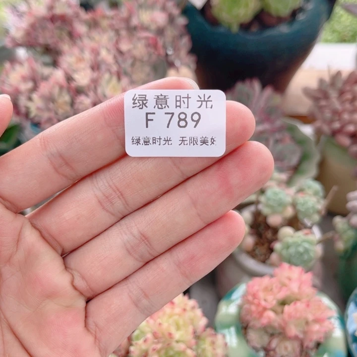 c***c789 十级灯牌福利