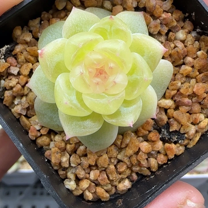 352号财富8888晗雨