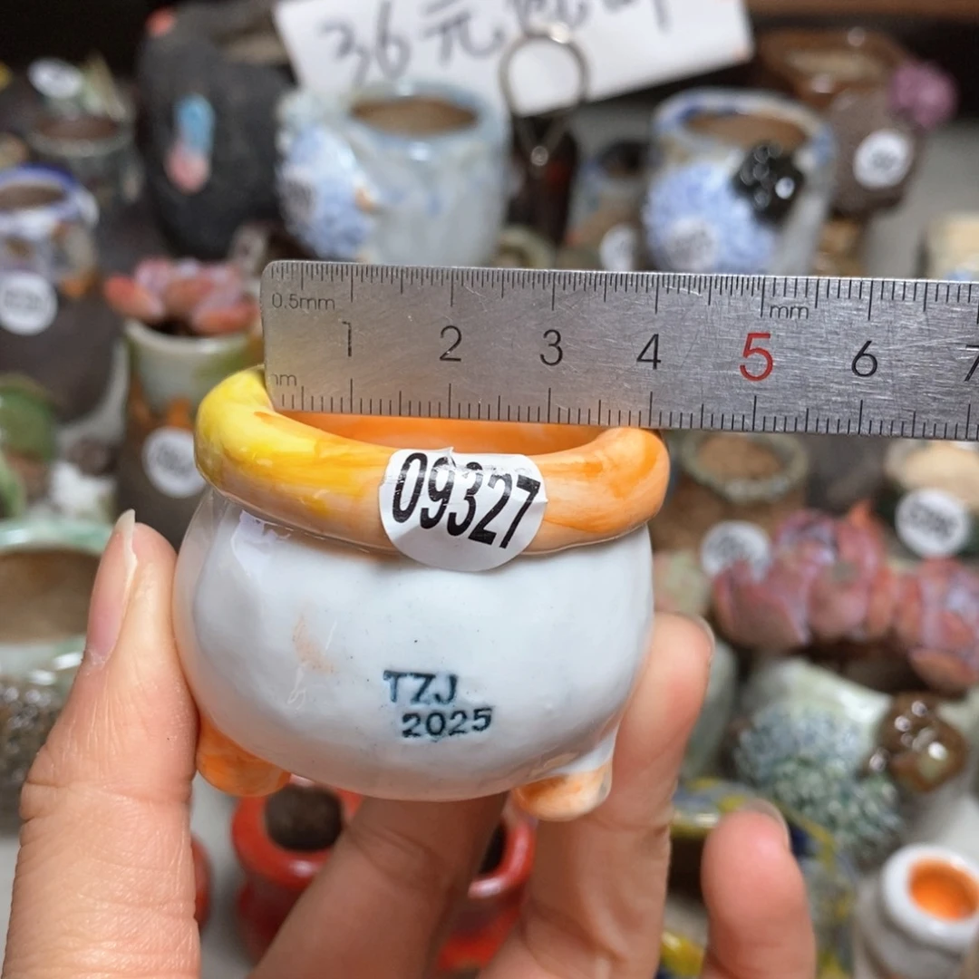 拍3送一个小礼物