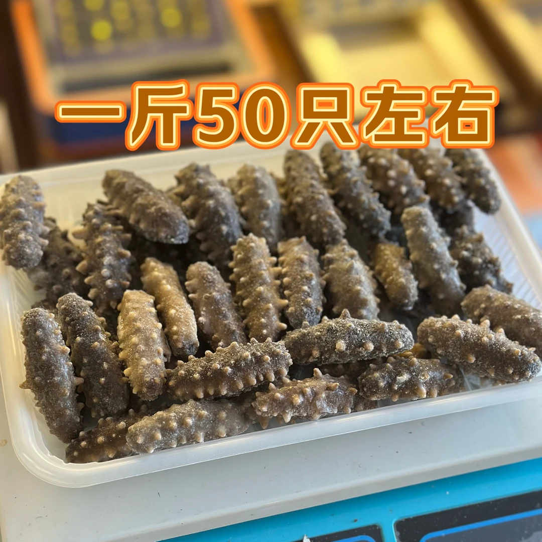 大连小鲜食 Q弹 鲜美（嫌小慎拍）