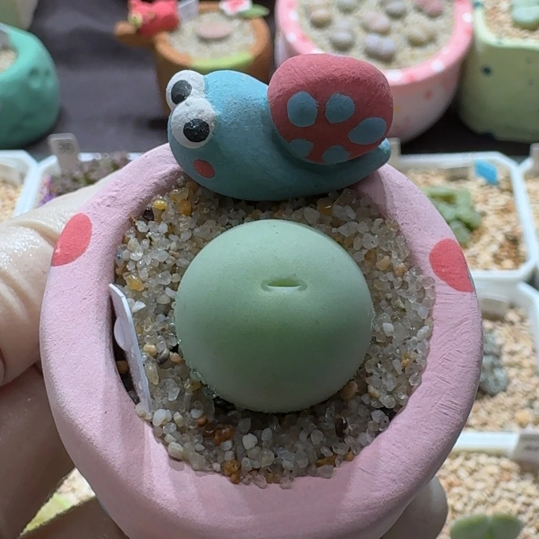 0927-04连盆带花鸽子蛋